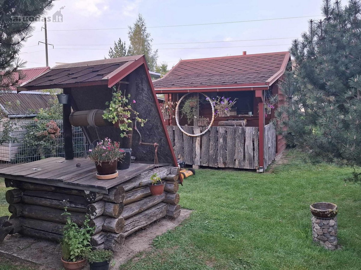 Parduodamas Rojaus kampelis Draugystės soduose. - nuotraukos Nr. 4