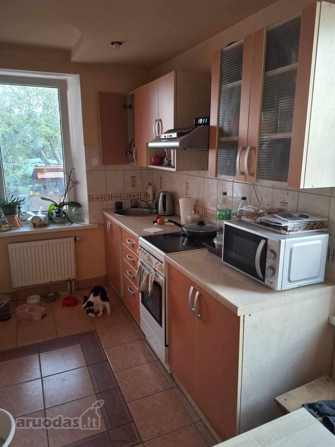 Parduodamas Rojaus kampelis Draugystės soduose. - nuotraukos Nr. 12