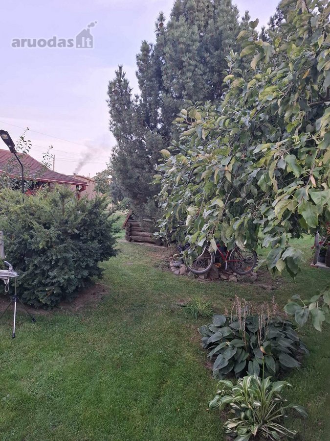 Parduodamas Rojaus kampelis Draugystės soduose. - nuotraukos Nr. 20