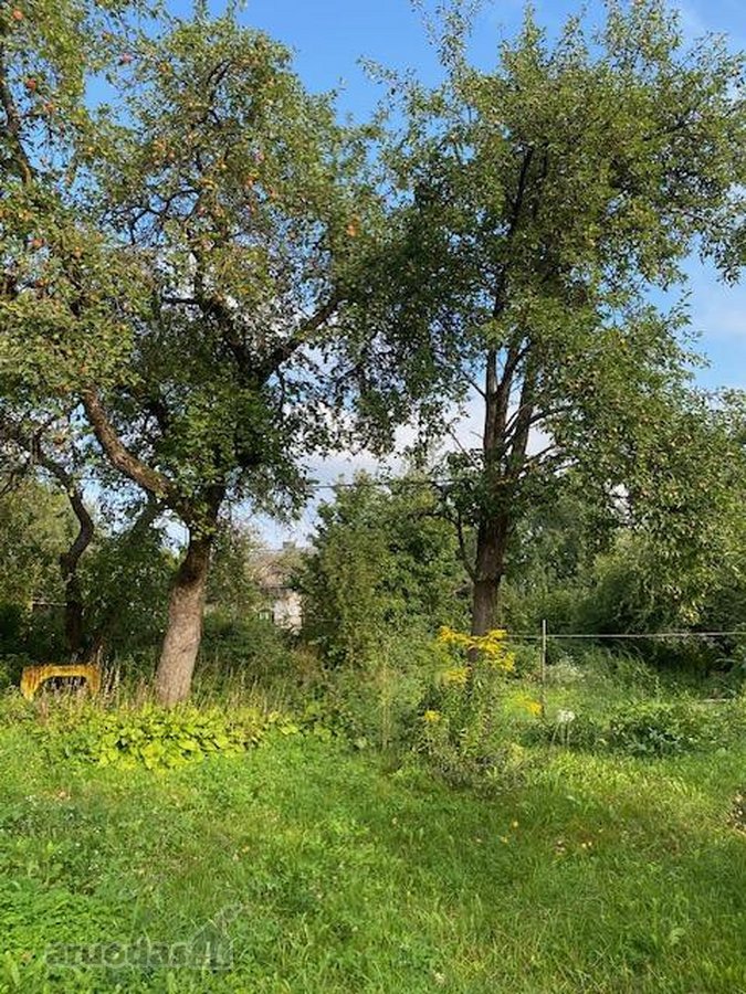 Parduodamas sklypas su gyvenamuoju namu - nuotraukos Nr. 7