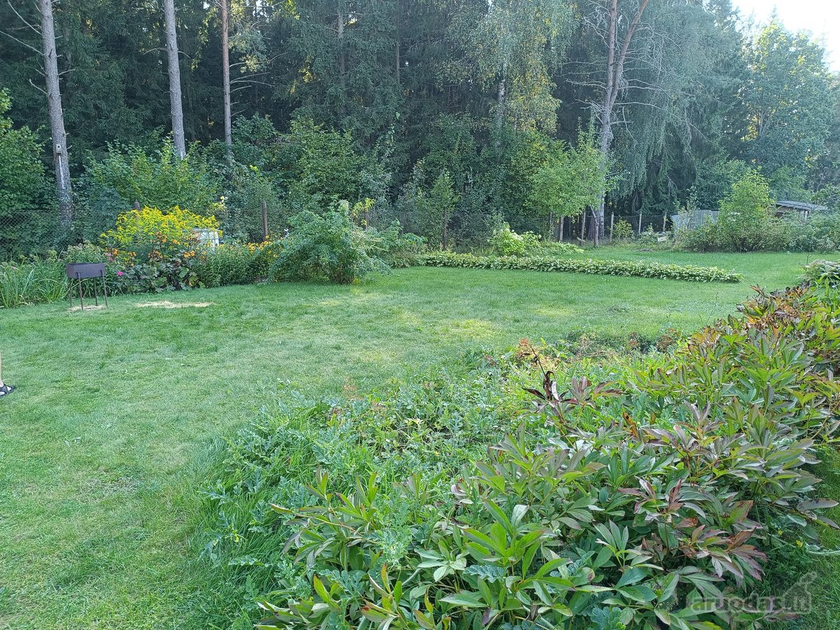- Erdvus sklypas šalia miško. - nuotraukos Nr. 10