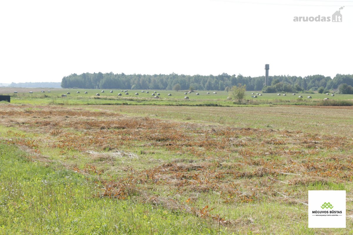 Parduodamas 24,27 Arų Sklypas, Šalia Klibių - nuotraukos Nr. 5