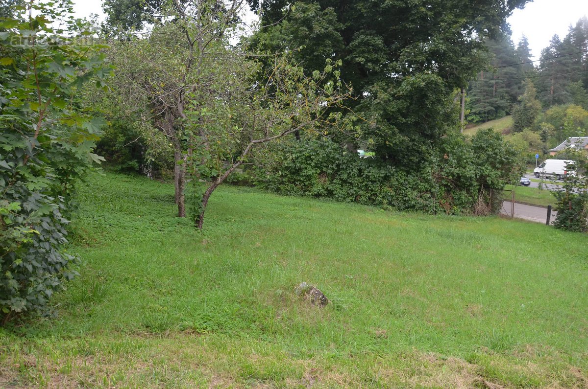 Parduodamas 19,89 a ploto sklypas Vilniaus - nuotraukos Nr. 9
