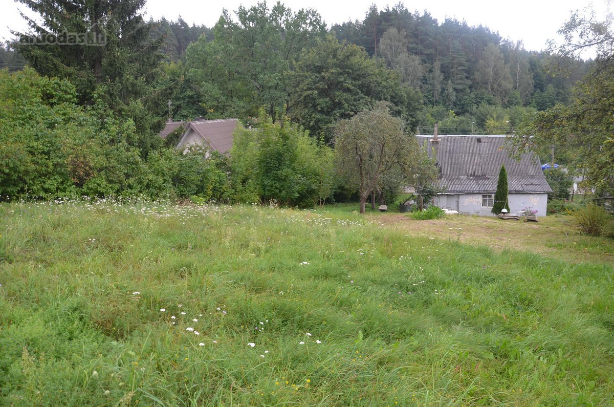 Parduodamas 19,89 a ploto sklypas Vilniaus - nuotraukos Nr. 12
