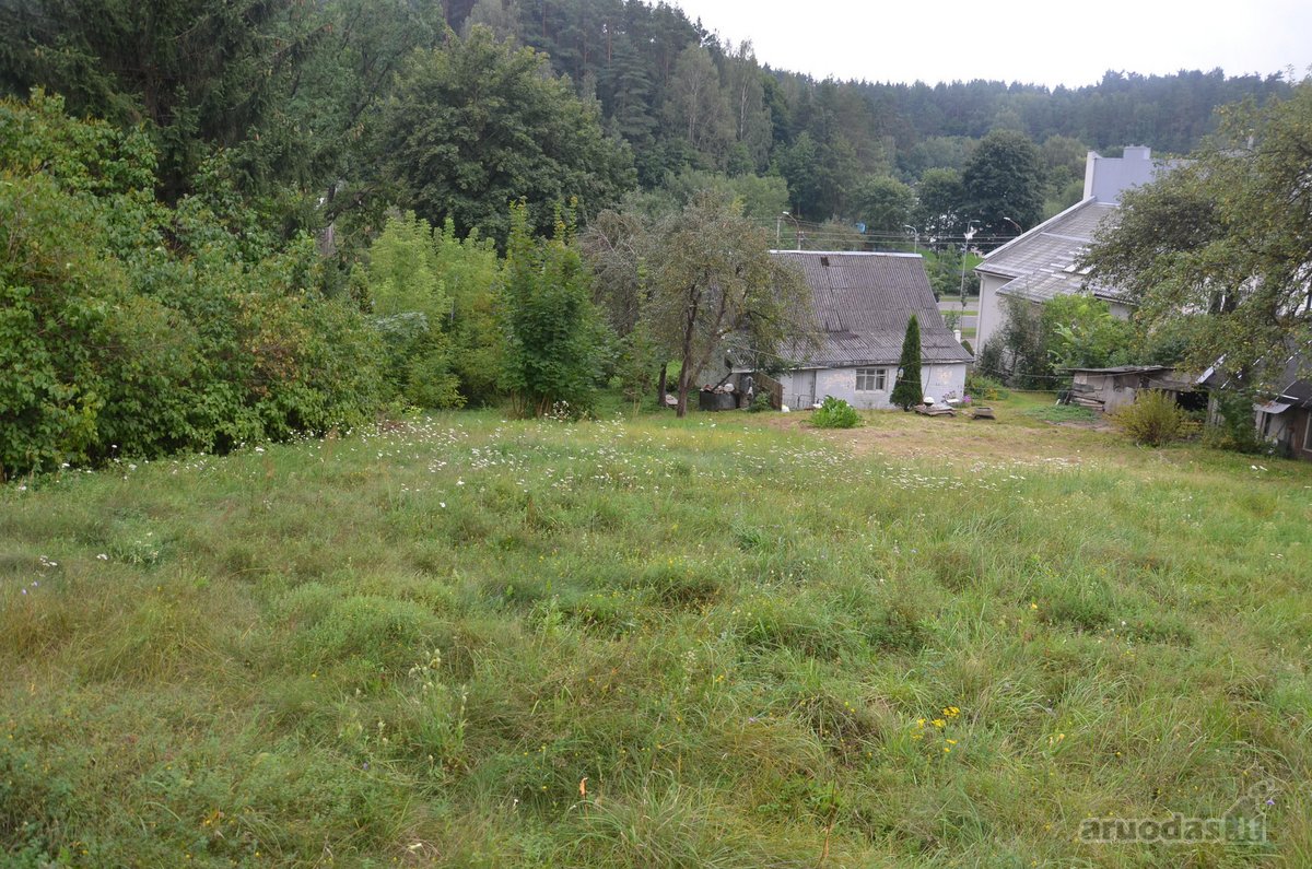 Parduodamas 19,89 a ploto sklypas Vilniaus - nuotraukos Nr. 13
