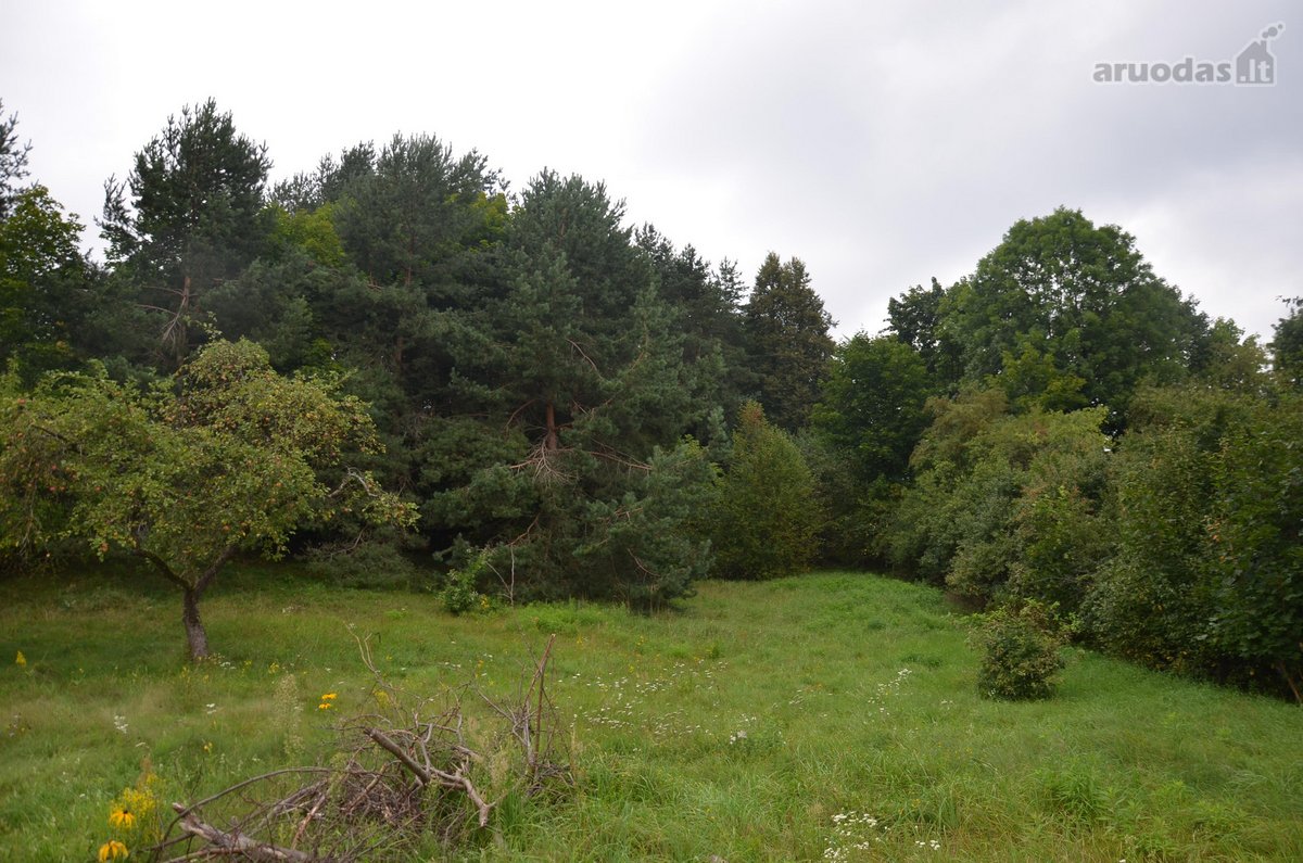 Parduodamas 19,89 a ploto sklypas Vilniaus - nuotraukos Nr. 15
