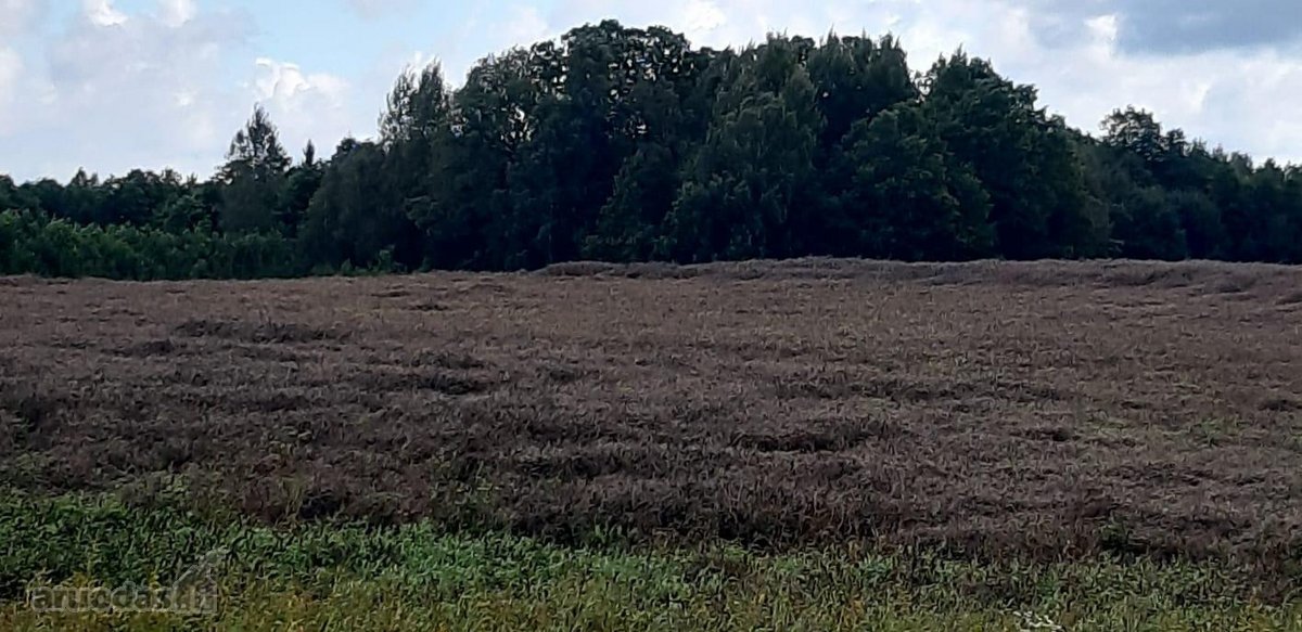 Visas sklypo plotas 7.6ha - nuotraukos Nr. 2