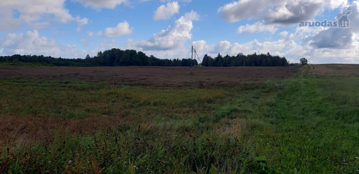 Visas sklypo plotas 7.6ha - nuotraukos Nr. 3