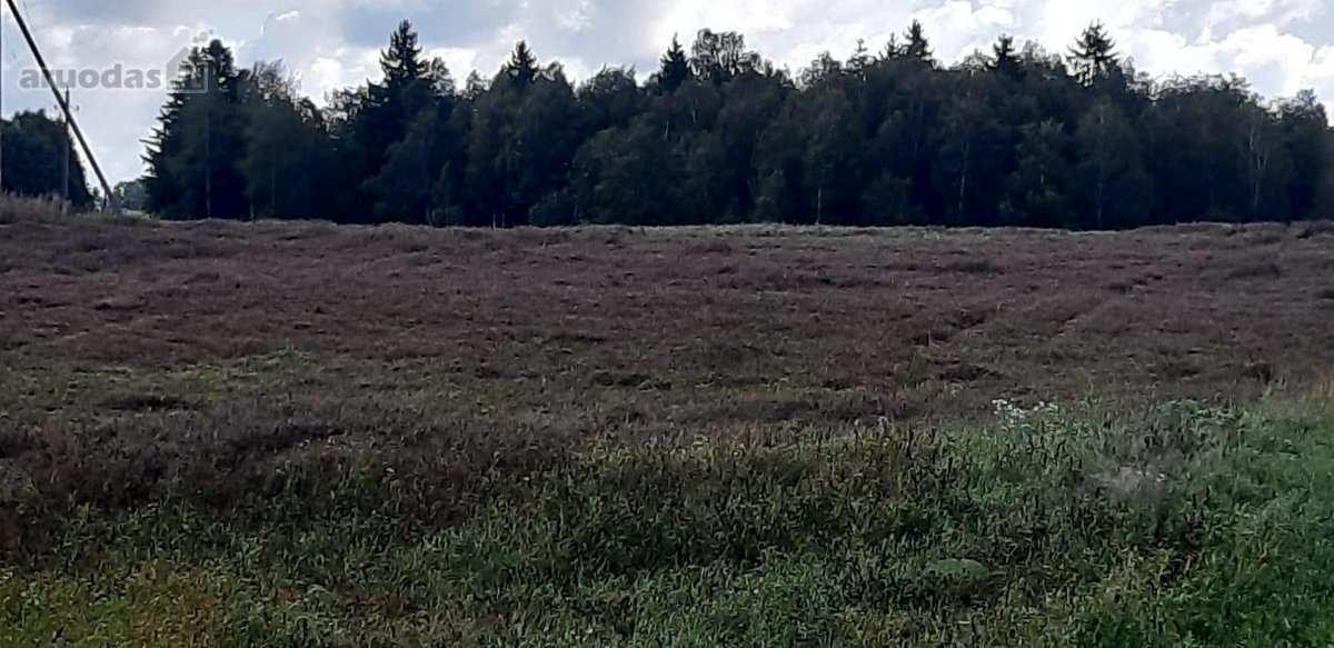 Visas sklypo plotas 7.6ha - nuotraukos Nr. 4
