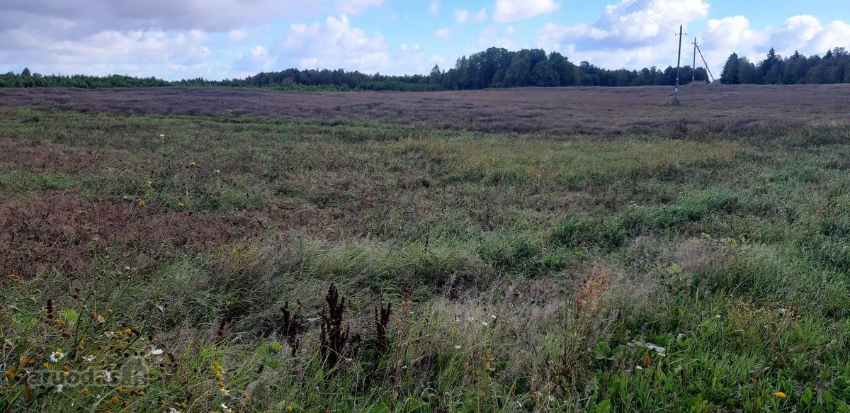 Visas sklypo plotas 7.6ha - nuotraukos Nr. 5