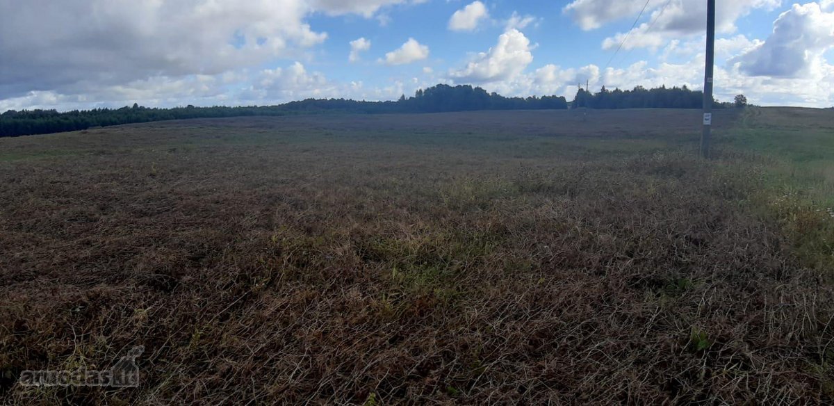 Visas sklypo plotas 7.6ha - nuotraukos Nr. 7