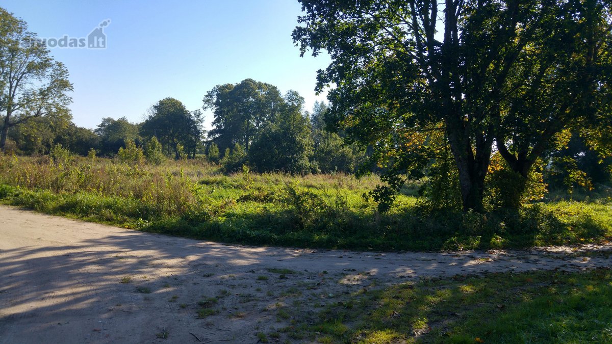 4 km nuo Rusnes mietelio. Prie sklypo prieina