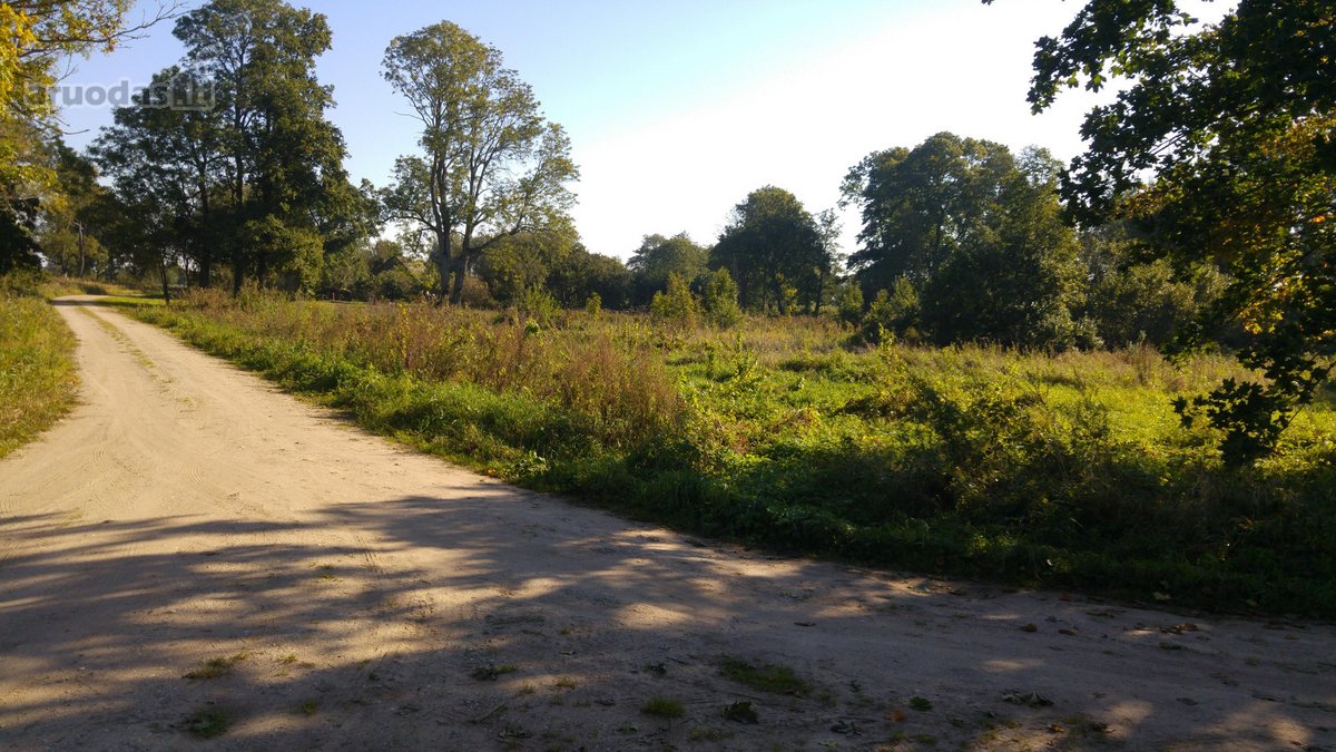 4 km nuo Rusnes mietelio. Prie sklypo prieina - nuotraukos Nr. 2