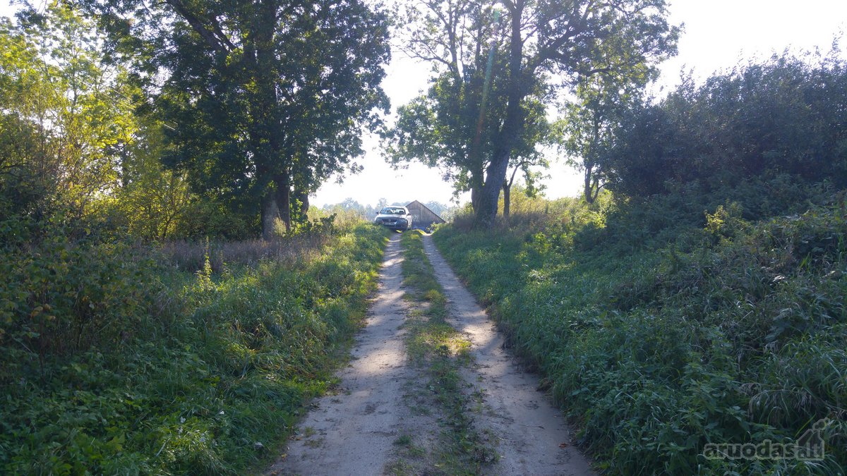 4 km nuo Rusnes mietelio. Prie sklypo prieina - nuotraukos Nr. 6