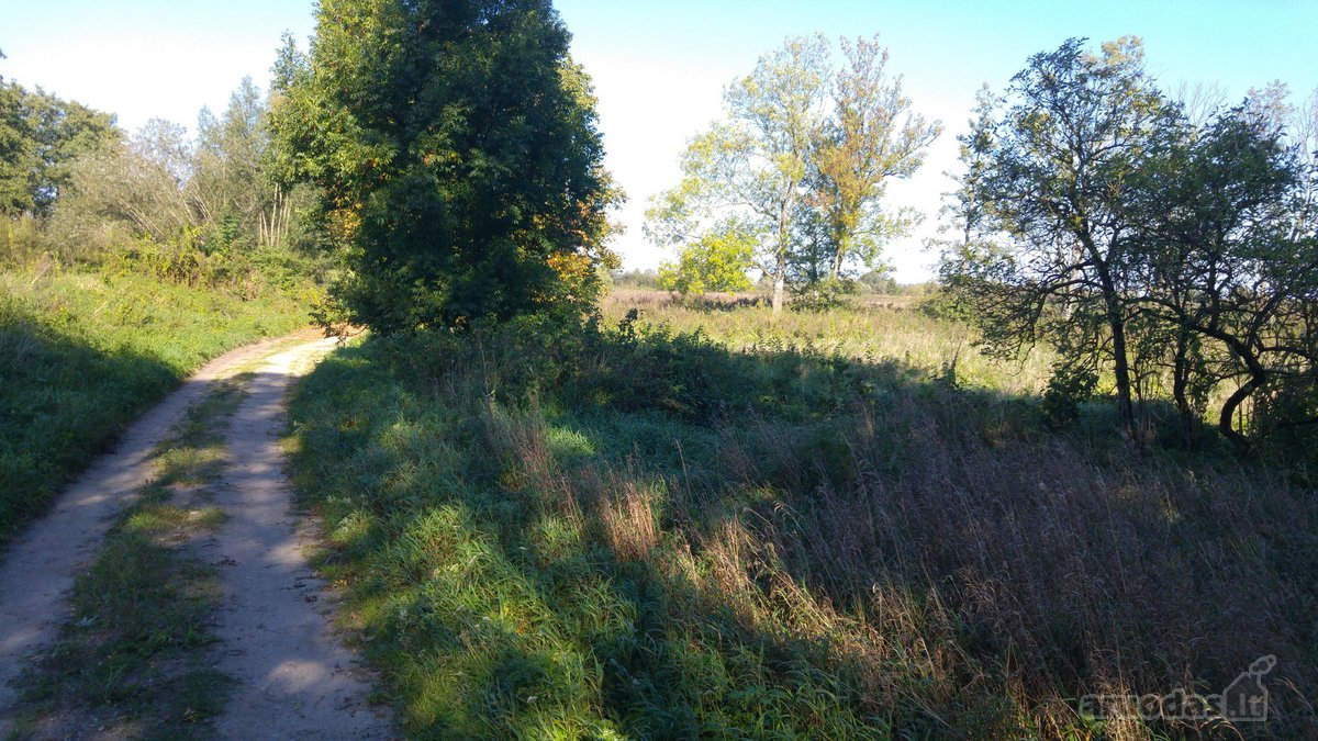 4 km nuo Rusnes mietelio. Prie sklypo prieina - nuotraukos Nr. 8