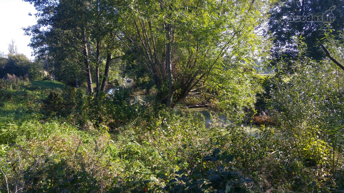 4 km nuo Rusnes mietelio. Prie sklypo prieina - nuotraukos Nr. 10