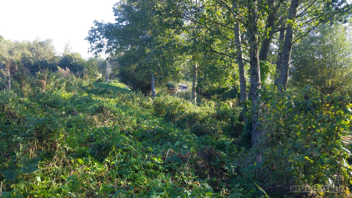 4 km nuo Rusnes mietelio. Prie sklypo prieina - nuotraukos Nr. 11