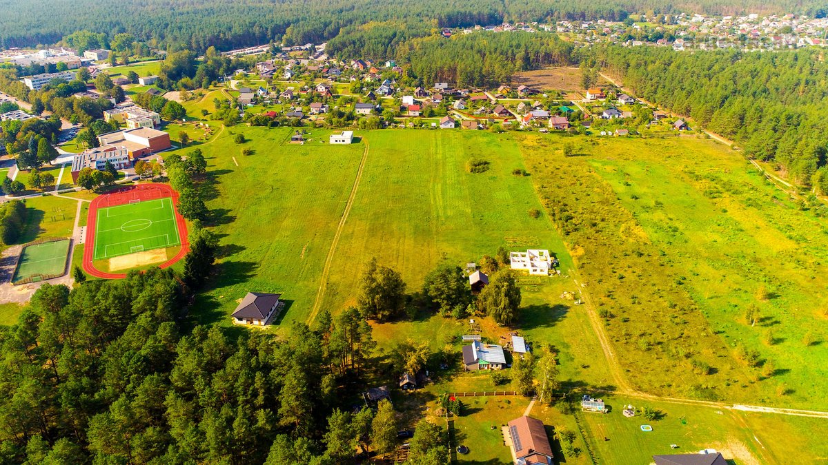 Susikurkite sau jaukius namus, miško - nuotraukos Nr. 4