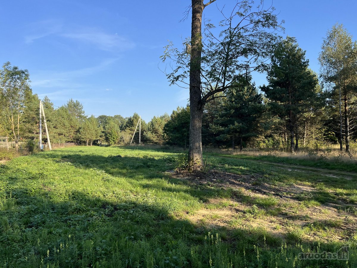 Sklypas randasi miškų apsuptame Braziūkų - nuotraukos Nr. 3