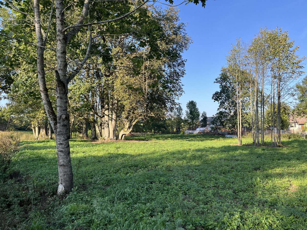 Sklypas randasi miškų apsuptame Braziūkų - nuotraukos Nr. 4