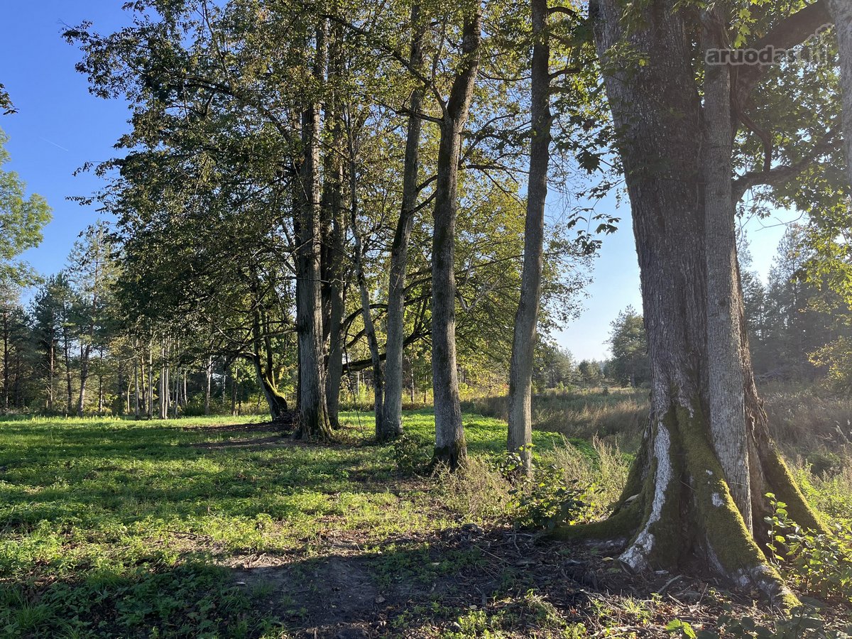 Sklypas randasi miškų apsuptame Braziūkų - nuotraukos Nr. 7