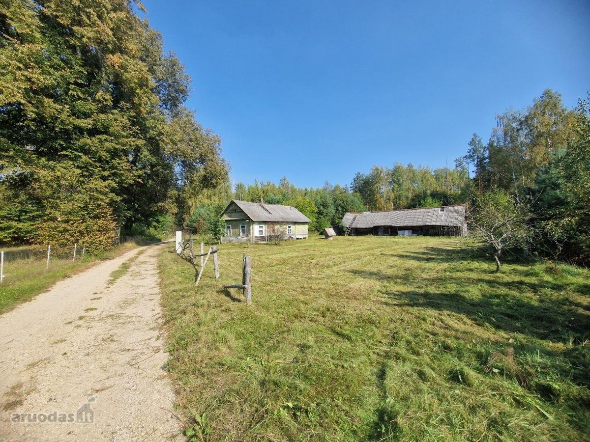 Parduodama jauki sodyba ramioje vietoje, - nuotraukos Nr. 2