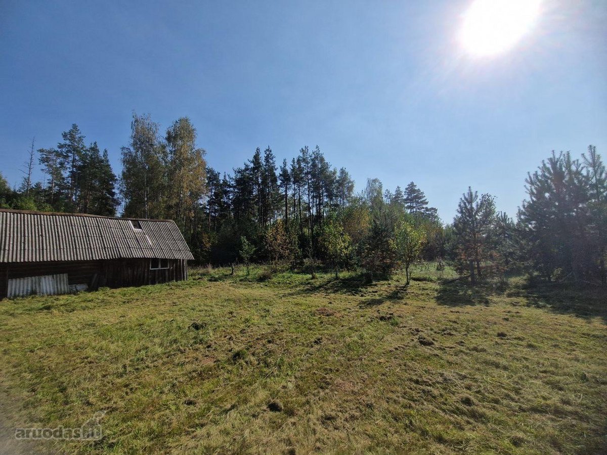 Parduodama jauki sodyba ramioje vietoje, - nuotraukos Nr. 3