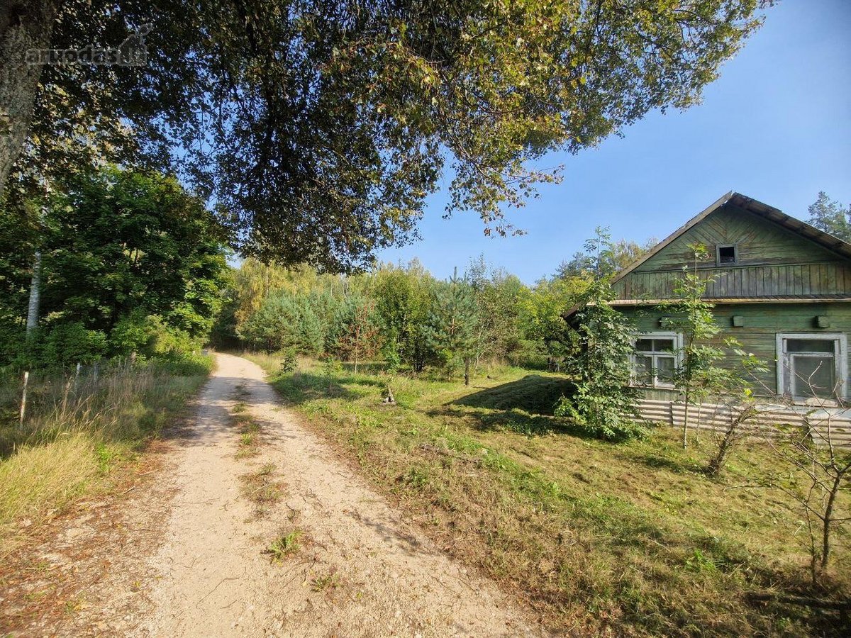 Parduodama jauki sodyba ramioje vietoje, - nuotraukos Nr. 4