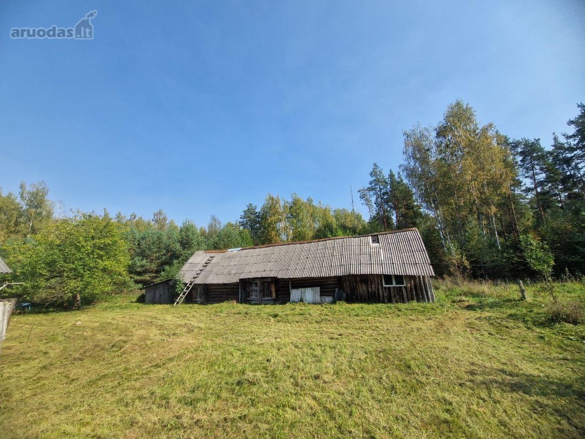 Parduodama jauki sodyba ramioje vietoje, - nuotraukos Nr. 7