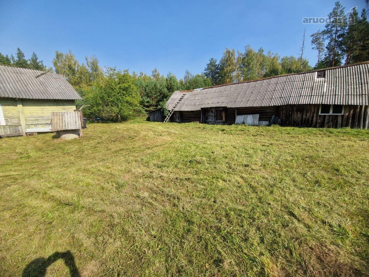 Parduodama jauki sodyba ramioje vietoje, - nuotraukos Nr. 8