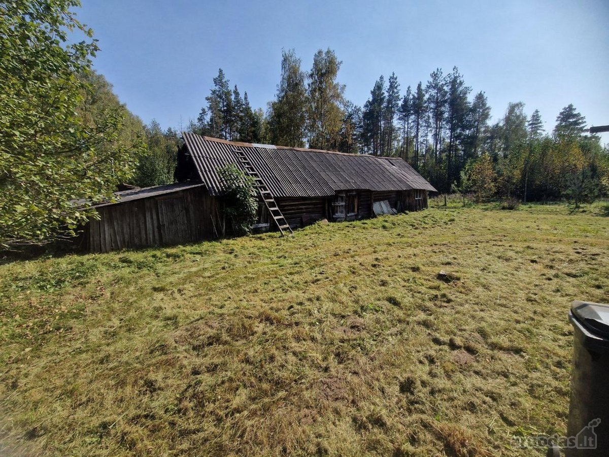 Parduodama jauki sodyba ramioje vietoje, - nuotraukos Nr. 11