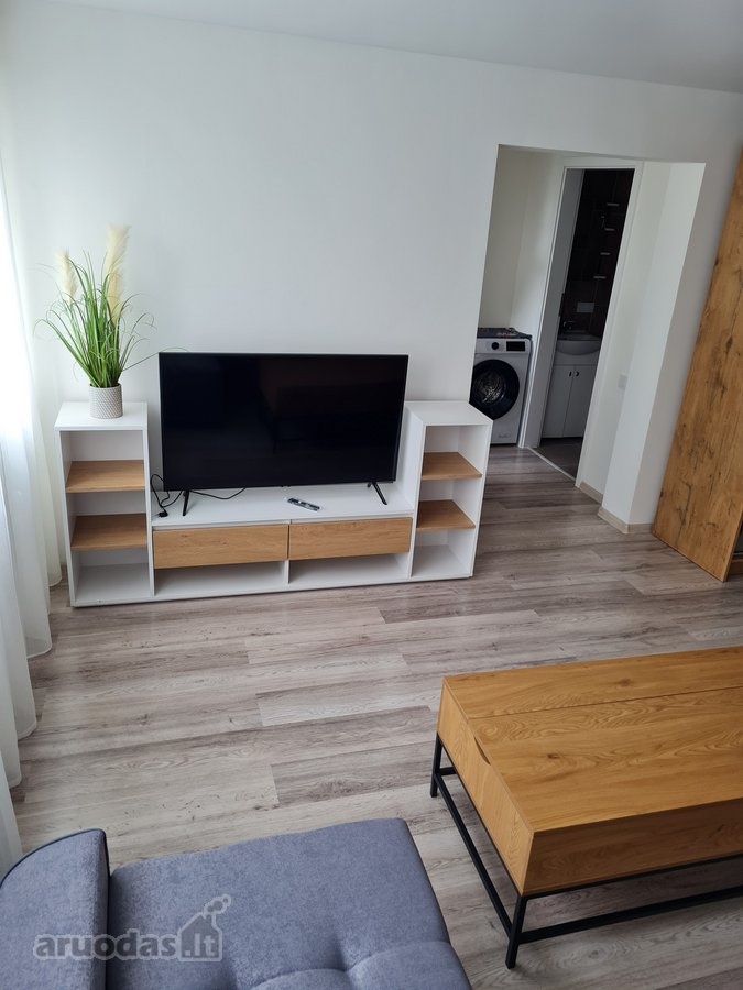 Viengungiui išnuomojamas 1-no kambario butas - nuotraukos Nr. 7