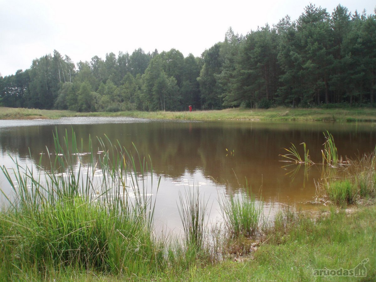 Parduodamas 3,94 ha namų valdos, žemės ūkio,
