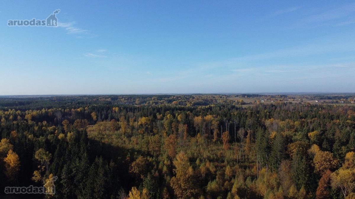 ~1.4km iki Vilniaus miesto ribos,~2km iki - nuotraukos Nr. 4