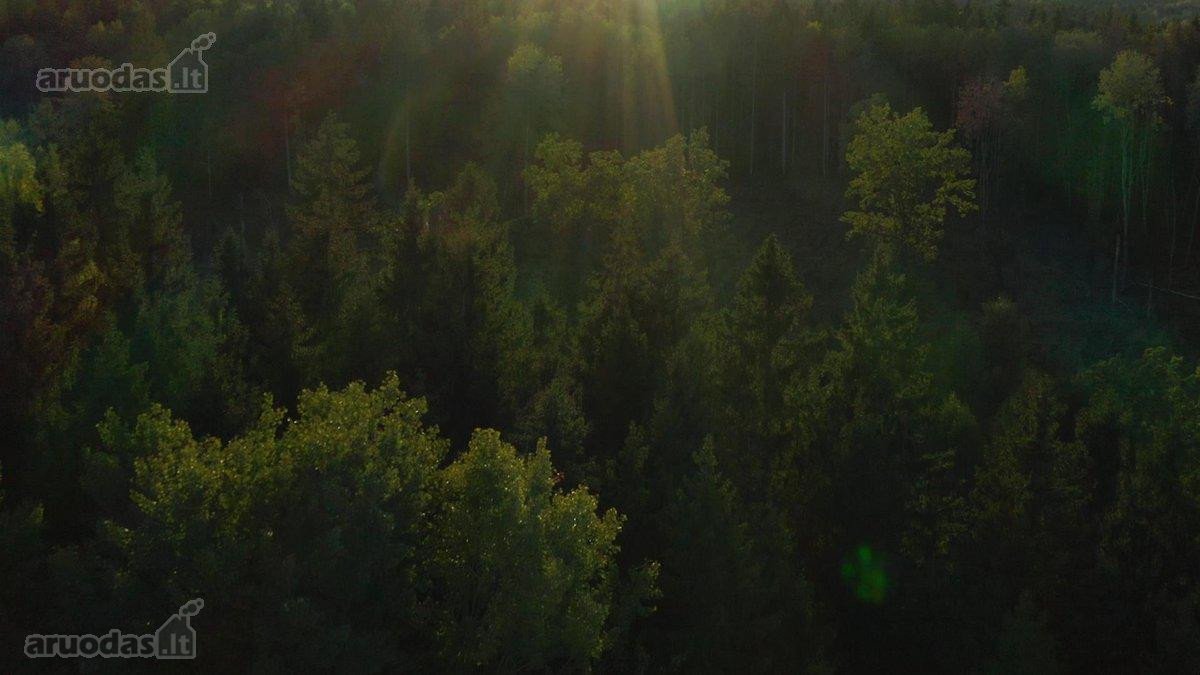~1.4km iki Vilniaus miesto ribos,~2km iki - nuotraukos Nr. 2