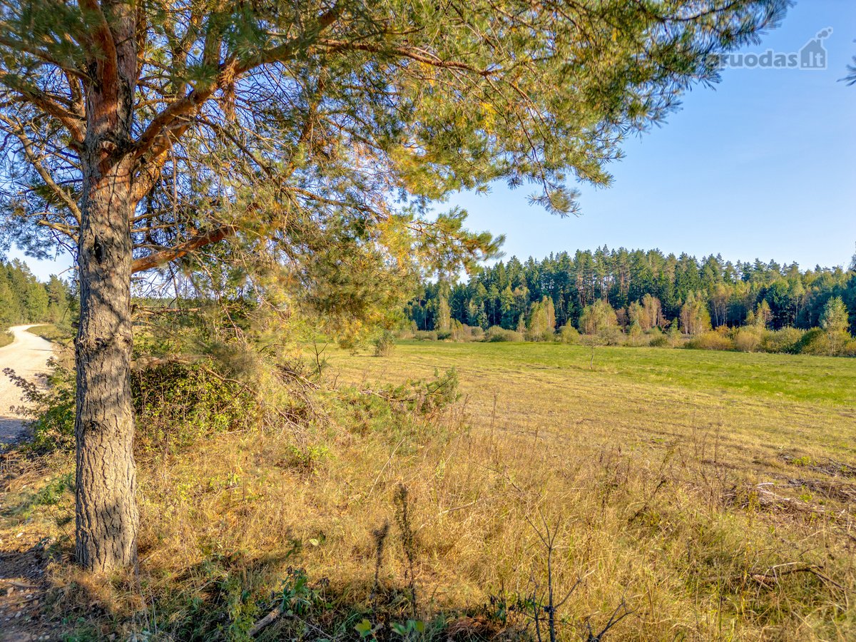 Parduodamas 1.2274 Ha Ploto Žemės Sklypas - nuotraukos Nr. 5