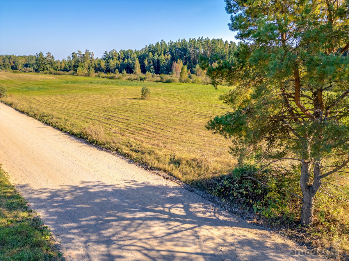 Parduodamas 1.2274 Ha Ploto Žemės Sklypas - nuotraukos Nr. 6
