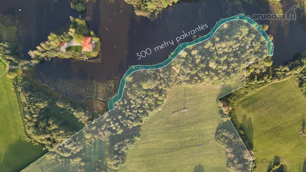 Vaizdingoje Vietoje, Šalia Alsėdžių Tvenkinio - nuotraukos Nr. 3