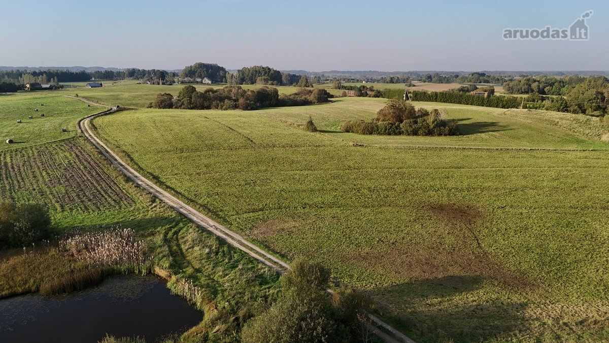 Vaizdingoje Vietoje, Šalia Alsėdžių Tvenkinio - nuotraukos Nr. 12