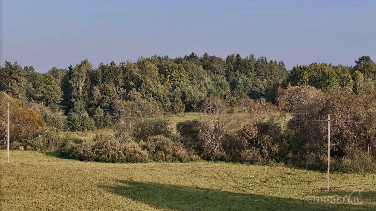 Vaizdingoje Vietoje, Šalia Alsėdžių Tvenkinio - nuotraukos Nr. 14