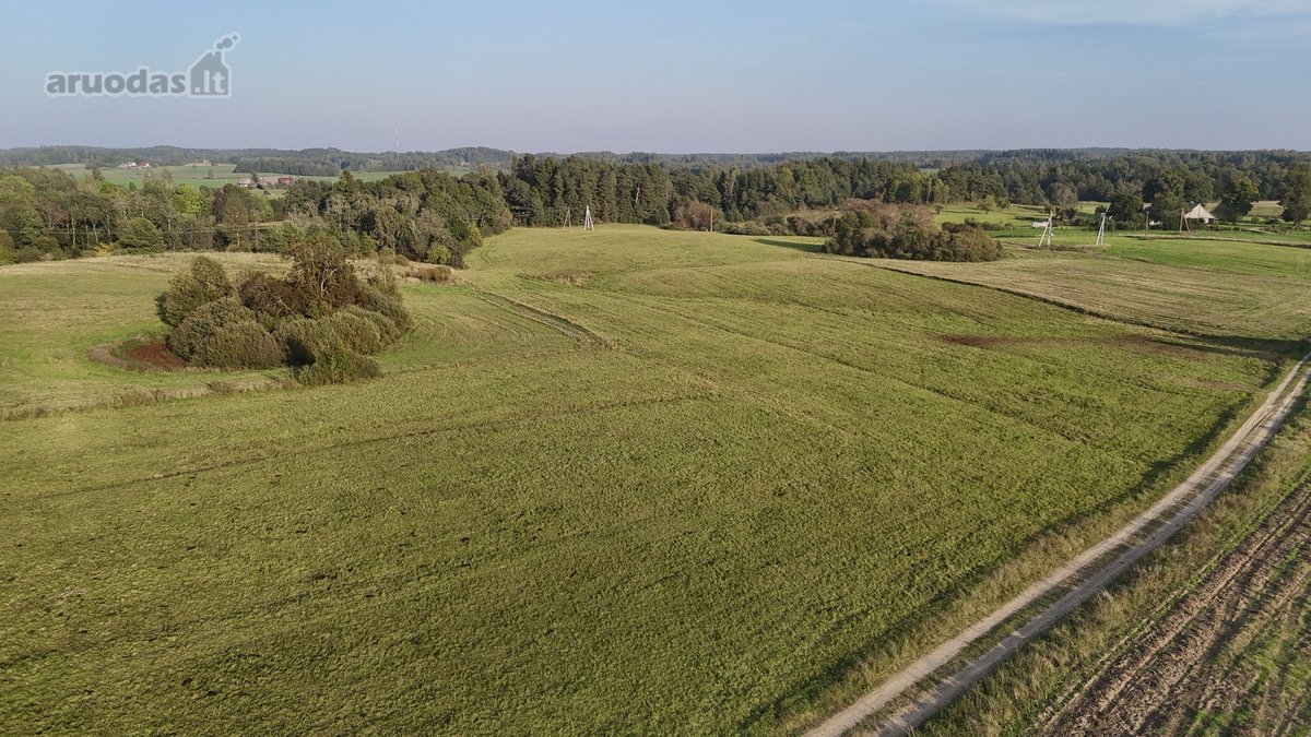 Vaizdingoje Vietoje, Šalia Alsėdžių Tvenkinio - nuotraukos Nr. 16