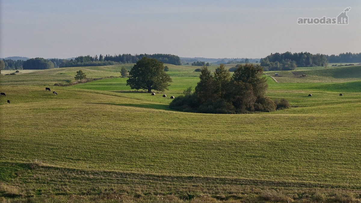 Vaizdingoje Vietoje, Šalia Alsėdžių Tvenkinio - nuotraukos Nr. 20