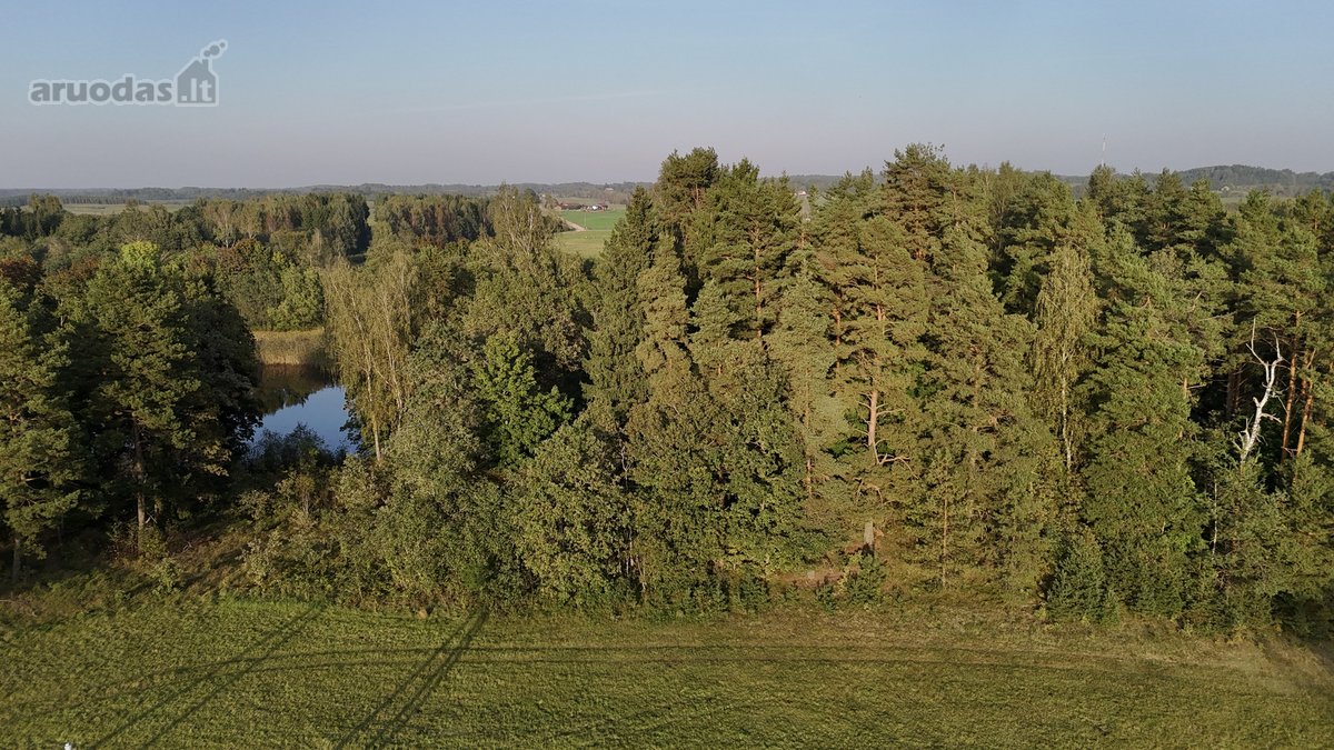 Vaizdingoje Vietoje, Šalia Alsėdžių Tvenkinio - nuotraukos Nr. 10