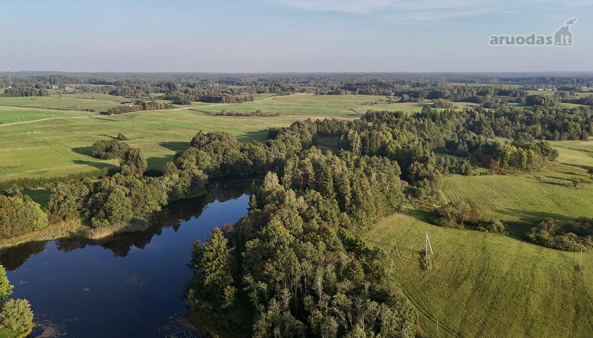 Vaizdingoje Vietoje, Šalia Alsėdžių Tvenkinio - nuotraukos Nr. 4
