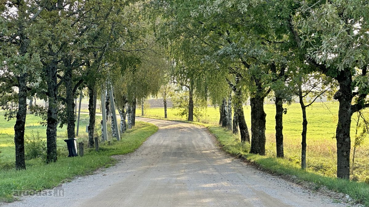 Vaizdingoje Vietoje, Šalia Alsėdžių Tvenkinio - nuotraukos Nr. 23