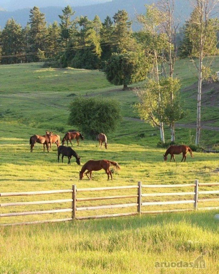 Sodybai kūrti, parduodami išskirtiniai 10 ha - nuotraukos Nr. 2