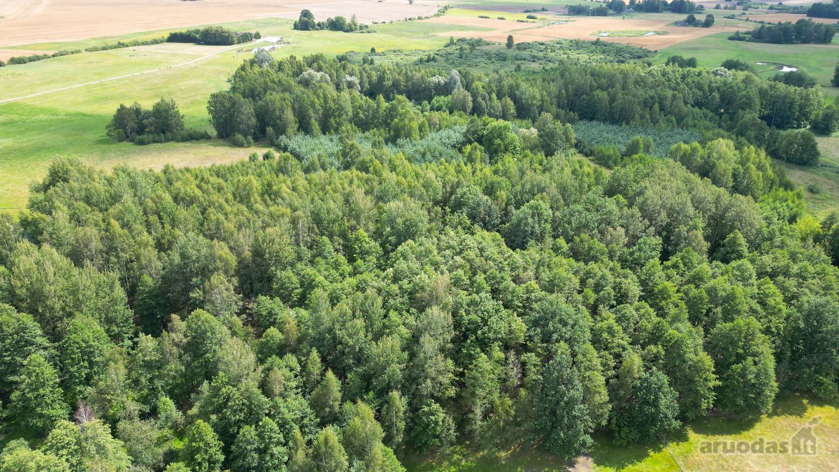 Parduodama Išskirtinė Sodyba - nuotraukos Nr. 14