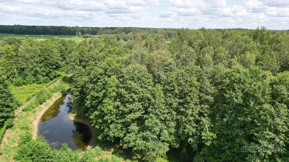 Parduodama Išskirtinė Sodyba - nuotraukos Nr. 11