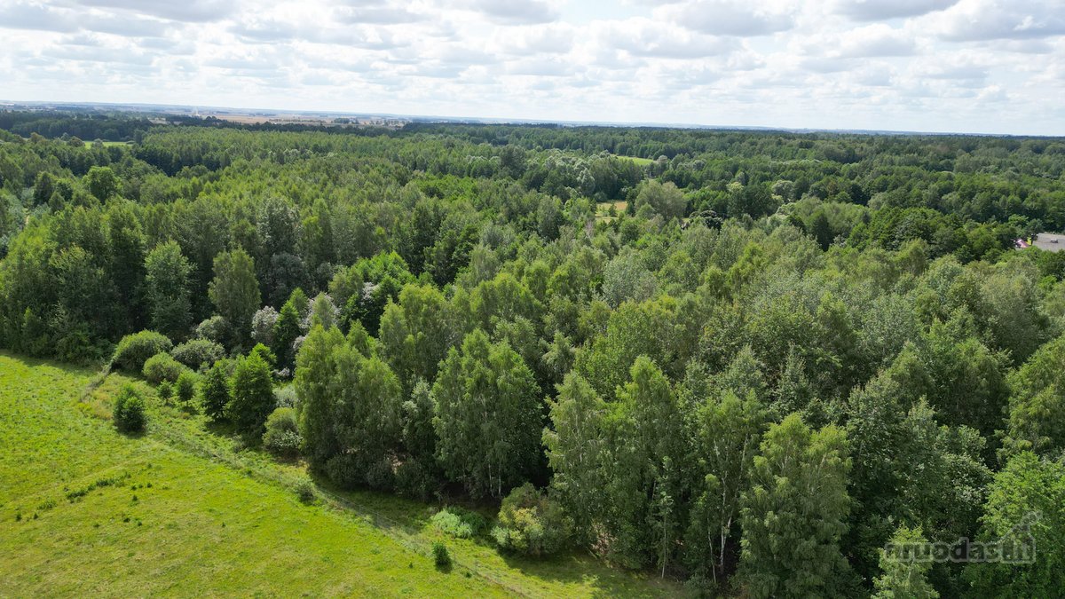 Parduodama Išskirtinė Sodyba - nuotraukos Nr. 16