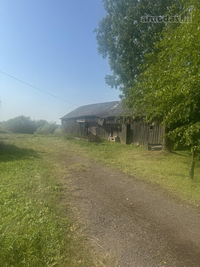Yra galimybę nusipirkti šalia sodybos 3,4 ha - nuotraukos Nr. 2